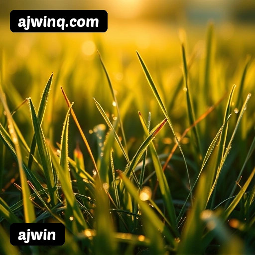 Loterias online disponíveis na ajwin